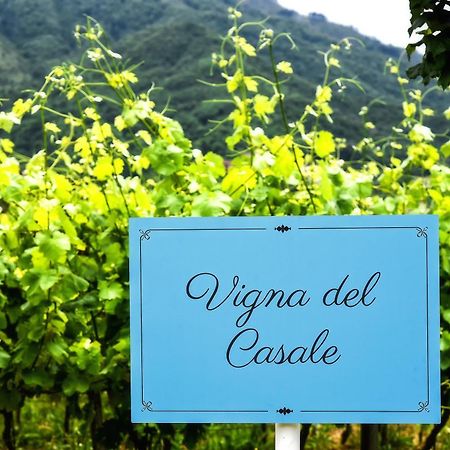 Agriturismo Guerritore 巴罗尼西 外观 照片