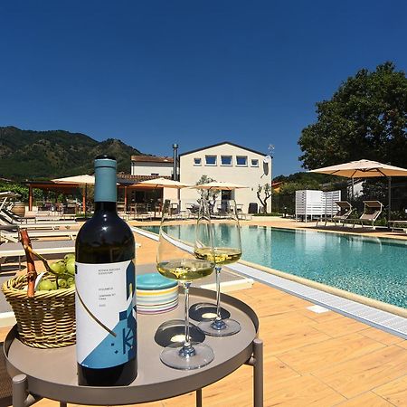 Agriturismo Guerritore 巴罗尼西 外观 照片