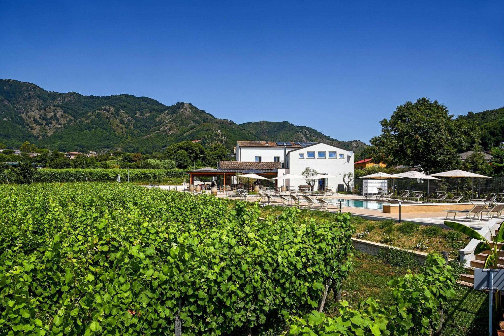 Agriturismo Guerritore 巴罗尼西 外观 照片